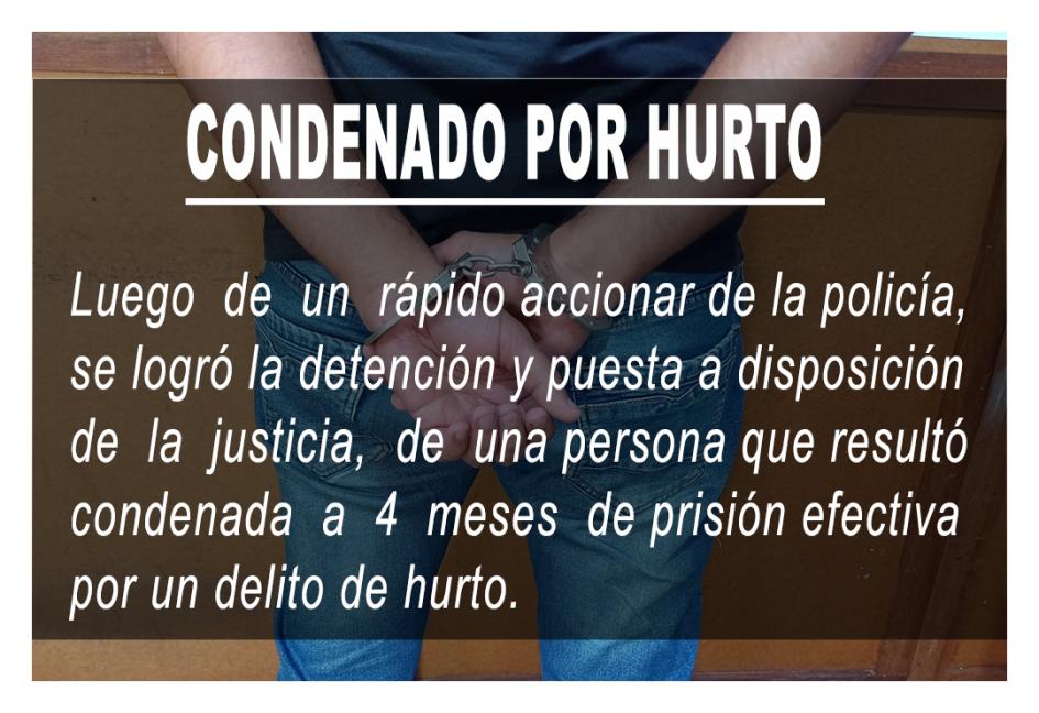Condenado por hurto | Ministerio del Interior